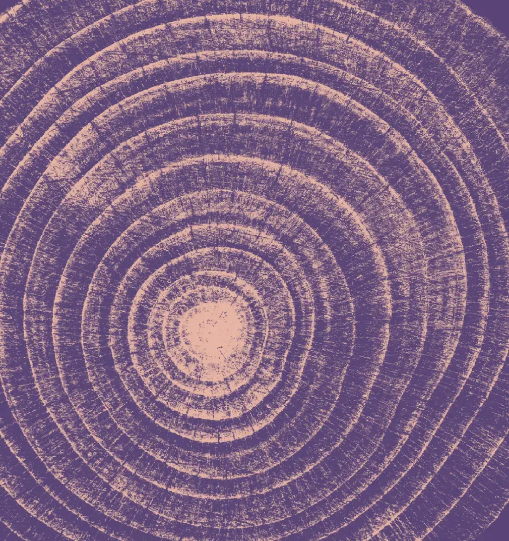 Localisation: From Rhetoric to Practice